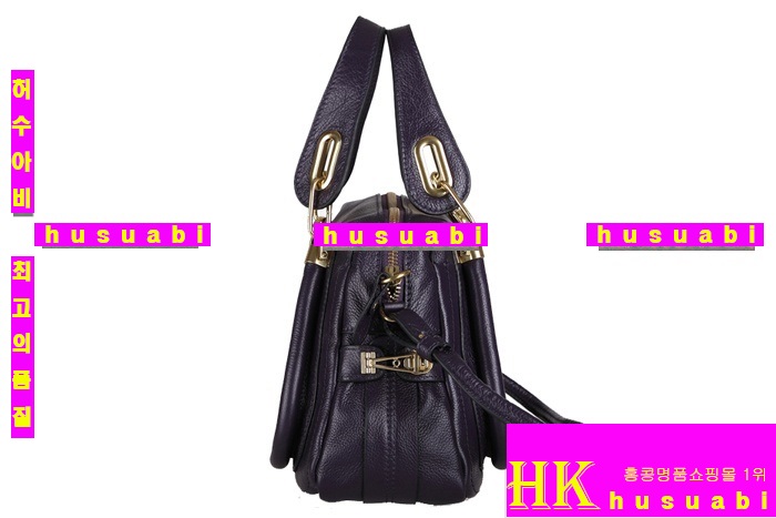 ���ο� �Ż� �Ķ�Ƽ�� ���� �����166323-1