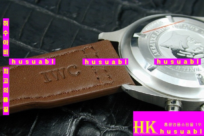 ���̴������� �ð�_IWC - �ð�  ST EXUPERY EDITION LEATHER STRAP