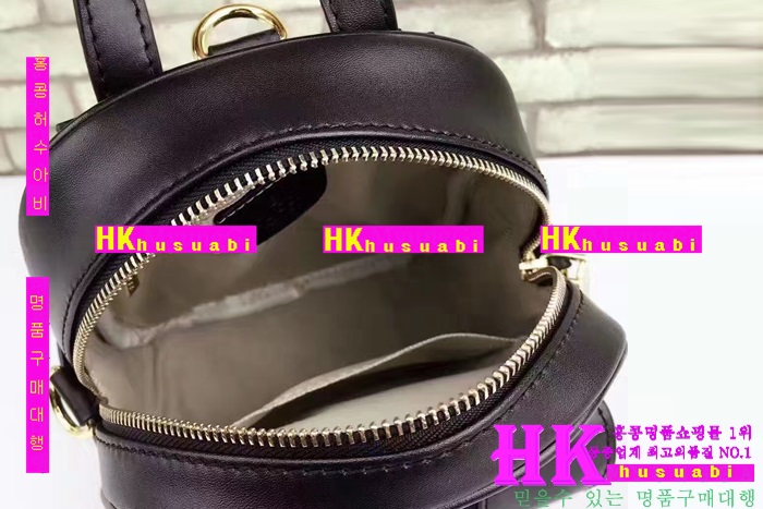 ���� ���� �Ż� G170225-31