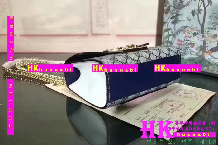 ���� ü�ι� �Ż� G170227-44