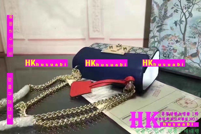 ���� ü�ι� �Ż� G170227-44