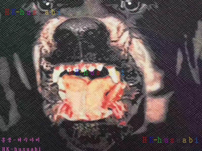 17ss ����� Ŭ��ġ��  GV170703-9