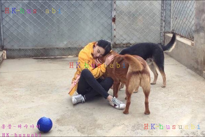 NEW ��籸�� ������ ����Ŀ�� GD 100004