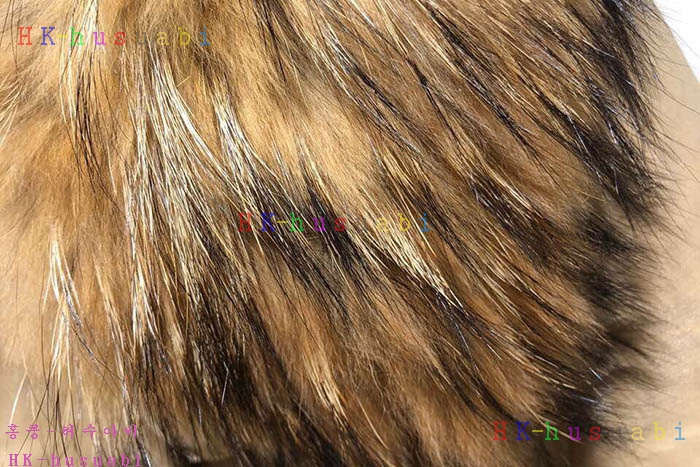 NEW ������ �������е� �Ż� BB 447004