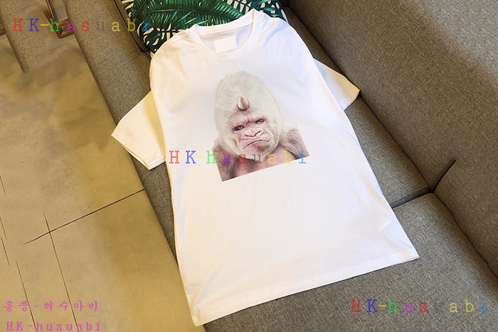 NEW ������ ����Ƽ �Ż� BB 0012437