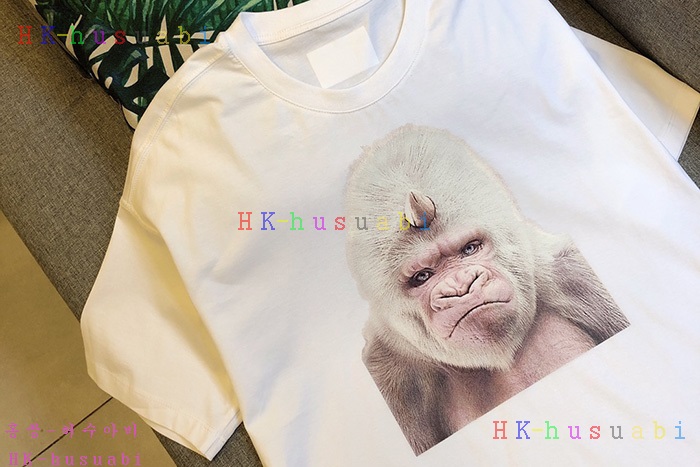 NEW ������ ����Ƽ �Ż� BB 0012437