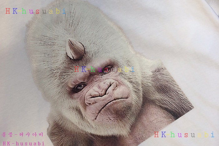 NEW ������ ����Ƽ �Ż� BB 0012437