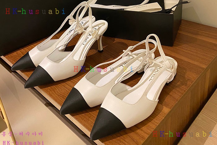 NEW ���� �Ź� �Ż� C 3655201