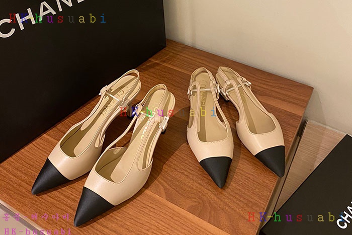 NEW ���� �Ź� �Ż� C 3655203